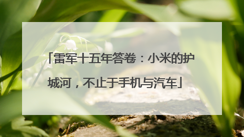雷军十五年答卷：小米的护城河，不止于手机与汽车