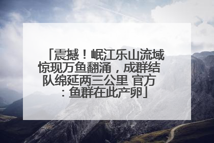 震撼！岷江乐山流域惊现万鱼翻涌，成群结队绵延两三公里 官方：鱼群在此产卵