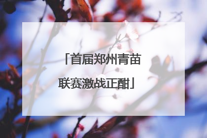首届郑州青苗联赛激战正酣