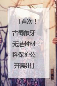 首次！古蜀象牙无灌封材料保护公开展出