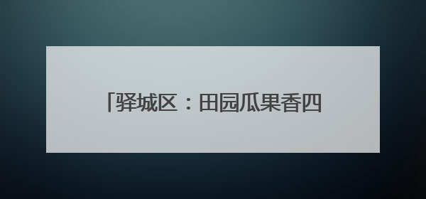 驿城区：田园瓜果香四溢 乡村产业谱新篇