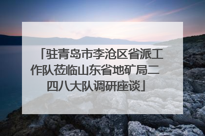 驻青岛市李沧区省派工作队莅临山东省地矿局二四八大队调研座谈