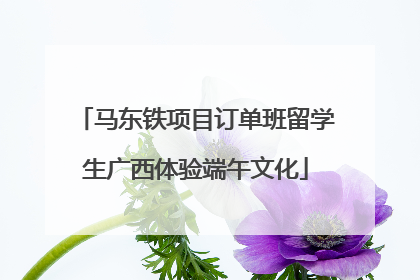 马东铁项目订单班留学生广西体验端午文化