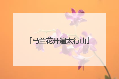 马兰花开遍太行山