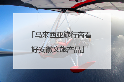 马来西亚旅行商看好安徽文旅产品