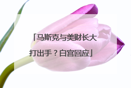 马斯克与美财长大打出手？白宫回应