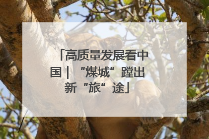 高质量发展看中国｜“煤城”蹚出新“旅”途