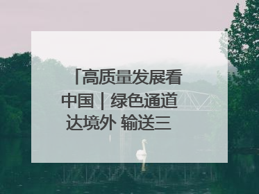 高质量发展看中国｜绿色通道达境外 输送三江“一口鲜”