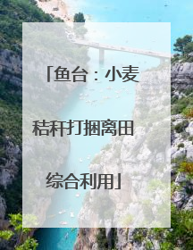 鱼台：小麦秸秆打捆离田综合利用