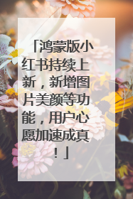 鸿蒙版小红书持续上新，新增图片美颜等功能，用户心愿加速成真！