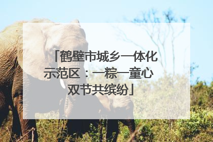 鹤壁市城乡一体化示范区：一粽一童心 双节共缤纷