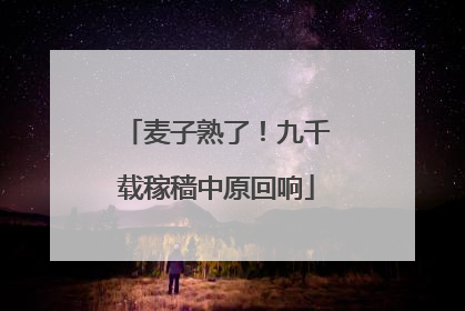 麦子熟了！九千载稼穑中原回响