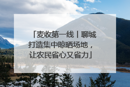 麦收第一线丨聊城打造集中晾晒场地，让农民省心又省力