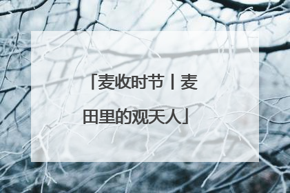 麦收时节丨麦田里的观天人