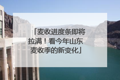 麦收进度条即将拉满！看今年山东麦收季的新变化
