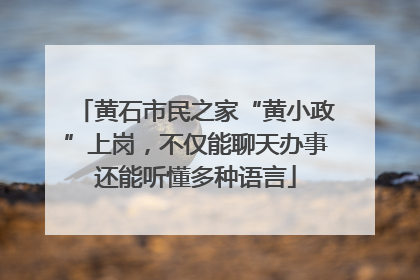 黄石市民之家“黄小政”上岗，不仅能聊天办事还能听懂多种语言
