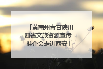 黄南州青甘陕川四省文旅资源宣传推介会走进西安