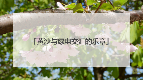 黄沙与绿电交汇的乐章
