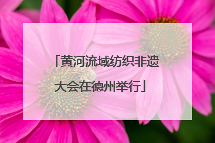 黄河流域纺织非遗大会在德州举行