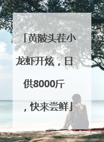 黄陂头茬小龙虾开炫，日供8000斤，快来尝鲜
