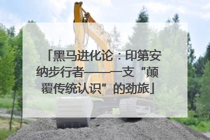 黑马进化论：印第安纳步行者——一支“颠覆传统认识”的劲旅