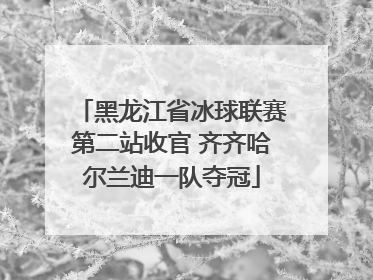 黑龙江省冰球联赛第二站收官 齐齐哈尔兰迪一队夺冠