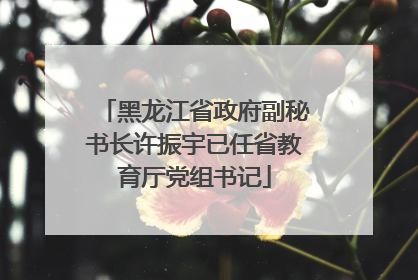 黑龙江省政府副秘书长许振宇已任省教育厅党组书记