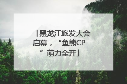 黑龙江旅发大会启幕，“鱼熊CP”萌力全开