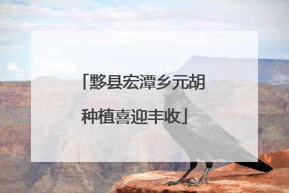 黟县宏潭乡元胡种植喜迎丰收