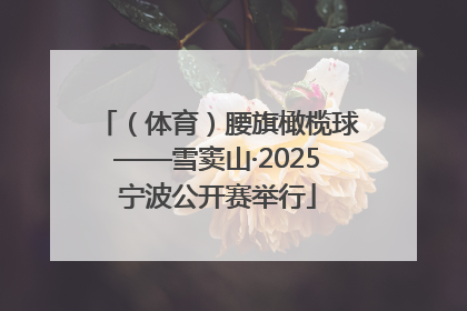 （体育）腰旗橄榄球——雪窦山·2025宁波公开赛举行