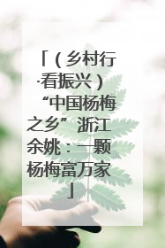 （乡村行·看振兴）“中国杨梅之乡”浙江余姚：一颗杨梅富万家