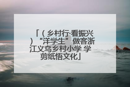 （乡村行·看振兴）“洋学生”做客浙江义乌乡村小学 学剪纸悟文化
