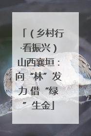 （乡村行·看振兴）山西襄垣：向“林”发力 借“绿”生金