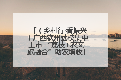 （乡村行·看振兴）广西钦州荔枝集中上市 “荔枝+农文旅融合”助农增收