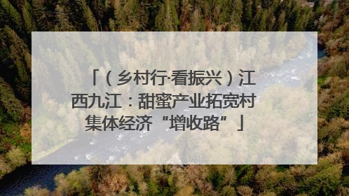 （乡村行·看振兴）江西九江：甜蜜产业拓宽村集体经济“增收路”