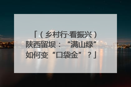 （乡村行·看振兴）陕西留坝：“满山绿”如何变“口袋金”？