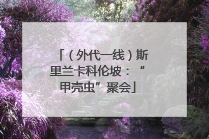 （外代一线）斯里兰卡科伦坡：“甲壳虫”聚会