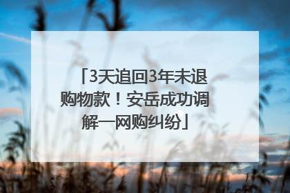 3天追回3年未退购物款！安岳成功调解一网购纠纷
