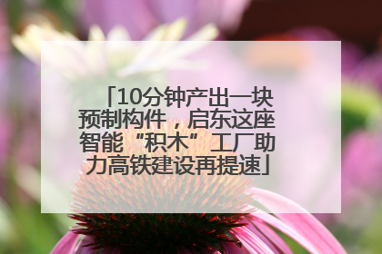 10分钟产出一块预制构件，启东这座智能“积木”工厂助力高铁建设再提速