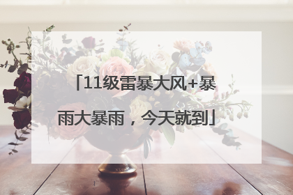 11级雷暴大风+暴雨大暴雨，今天就到