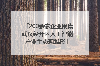 200余家企业聚集 武汉经开区人工智能产业生态现雏形