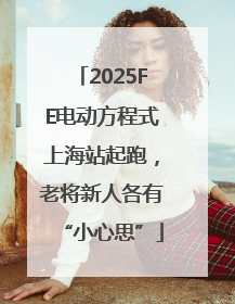2025FE电动方程式上海站起跑，老将新人各有“小心思”