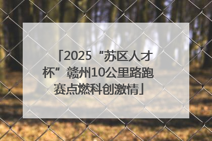 2025“苏区人才杯”赣州10公里路跑赛点燃科创激情