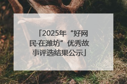 2025年“好网民·在潍坊”优秀故事评选结果公示