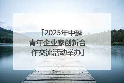 2025年中越青年企业家创新合作交流活动举办