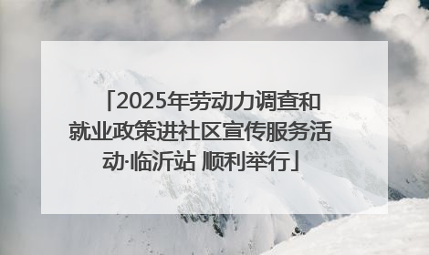 2025年劳动力调查和就业政策进社区宣传服务活动·临沂站 顺利举行