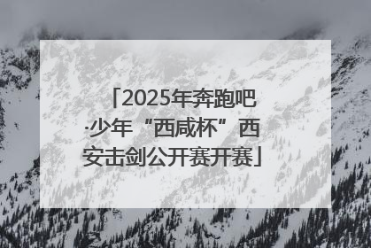 2025年奔跑吧·少年“西咸杯”西安击剑公开赛开赛