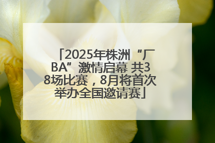 2025年株洲“厂BA”激情启幕 共38场比赛，8月将首次举办全国邀请赛