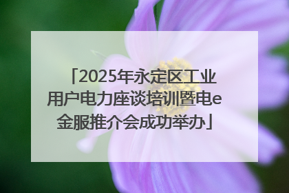 2025年永定区工业用户电力座谈培训暨电e金服推介会成功举办