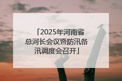 2025年河南省总河长会议暨防汛备汛调度会召开